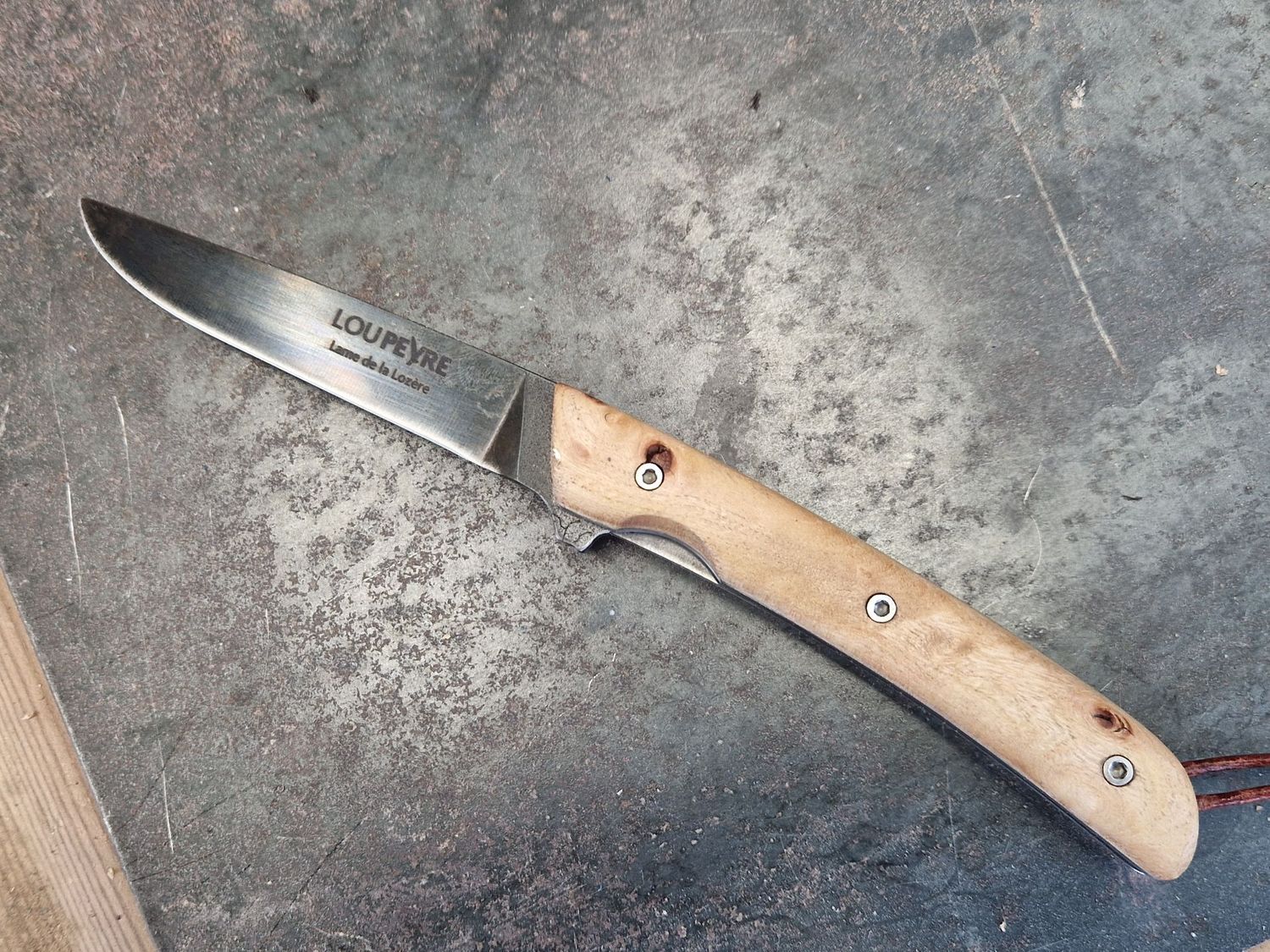 Loupe d'orme de Lozère/Lame en 90mcv8/droitier/PM