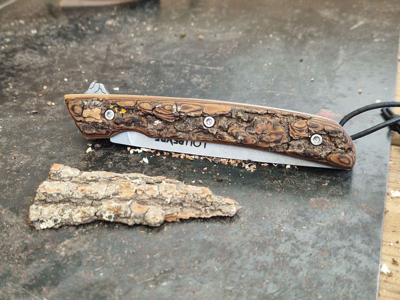 Avec l'écorce (L'Original) en Robinier Faux-Acacia