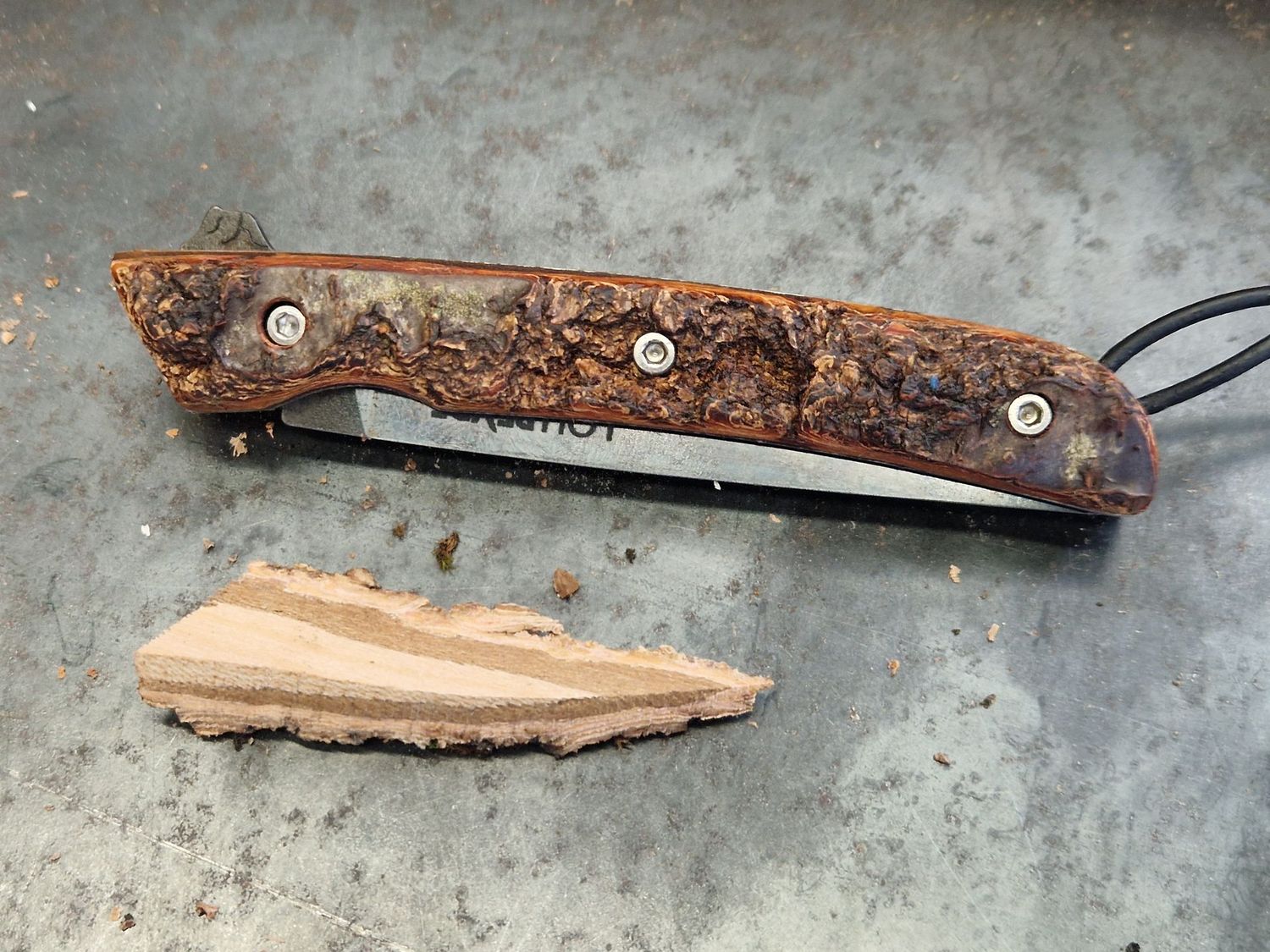 Avec l'écorce, Abricotier de Mende,PM, Droitier