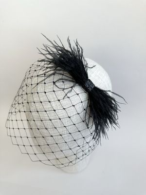 Plunksnų ir vualio lankelis