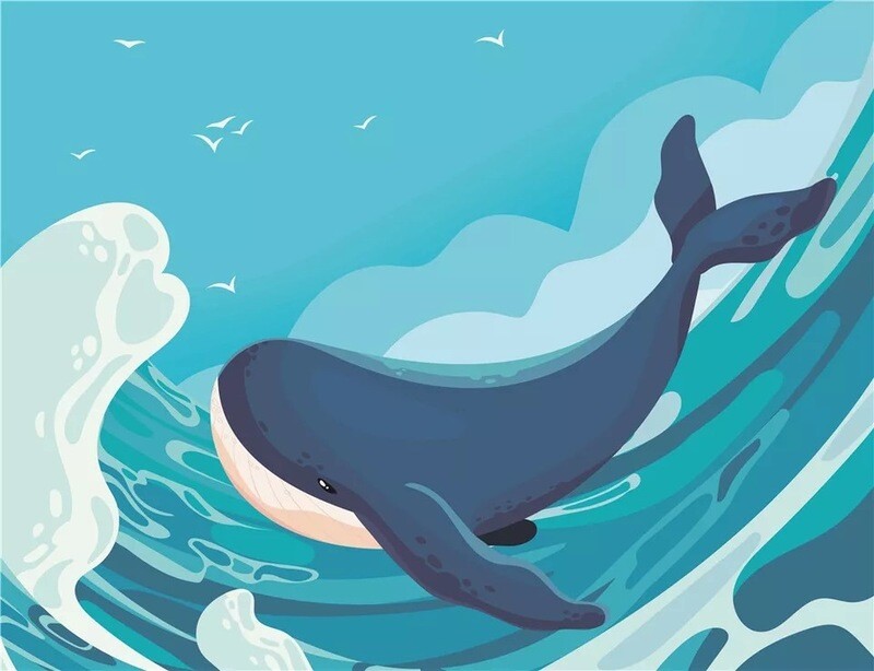 Covers diseños varios de animales
