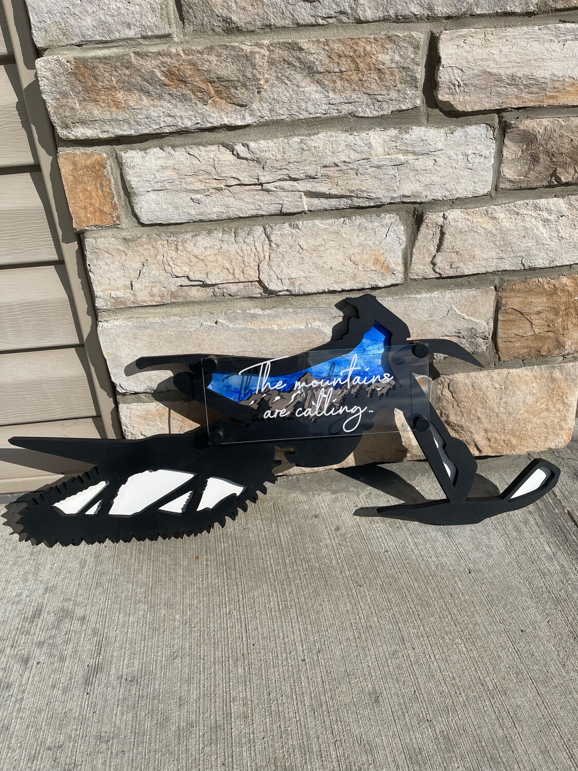 Custom Snow Bike