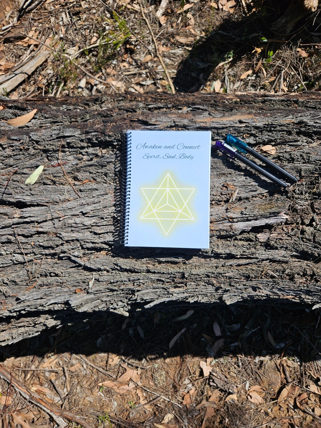 Awaken and Connect Journal 