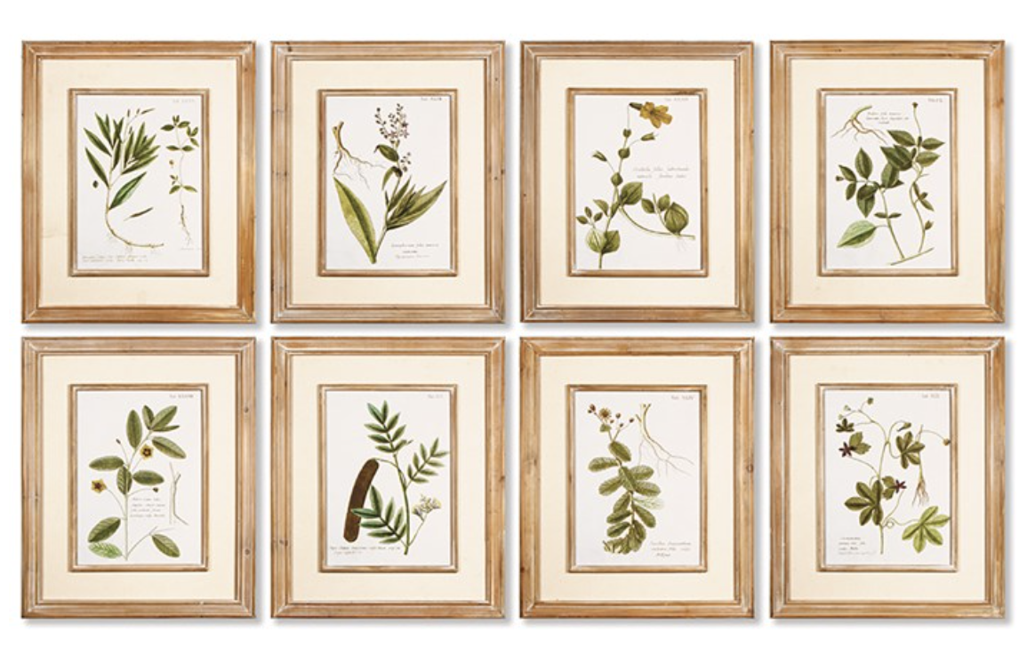 Spring Botanical Prints