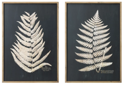 Black + White Ferns Framed Prints