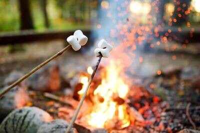 Roasted Campfire Marshmallow