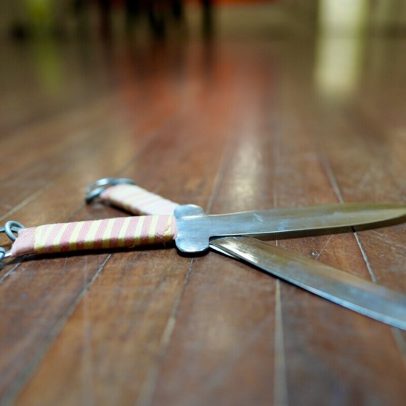The Double Daggers, Surlng Bey Sow