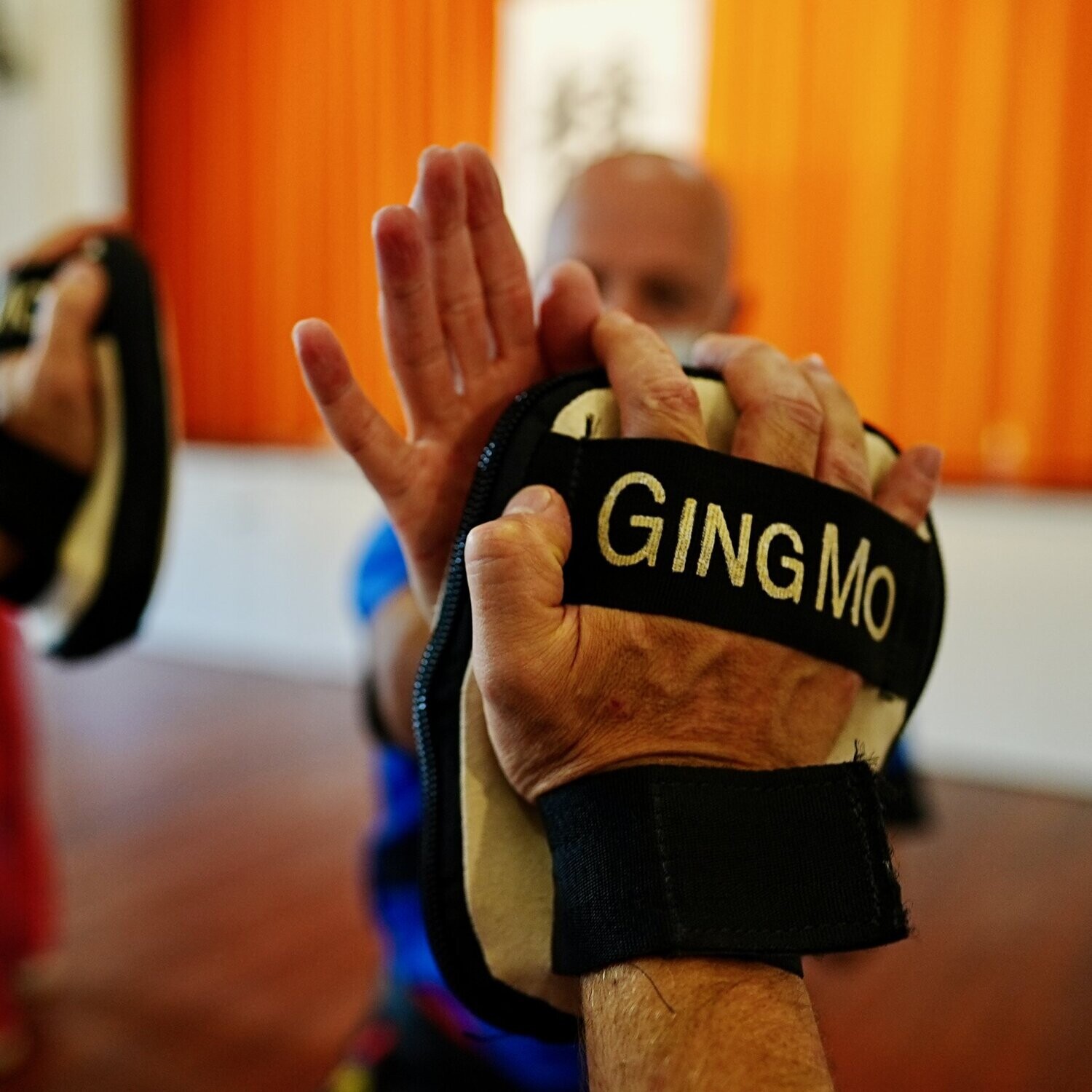 Ging Mo Hand Pads