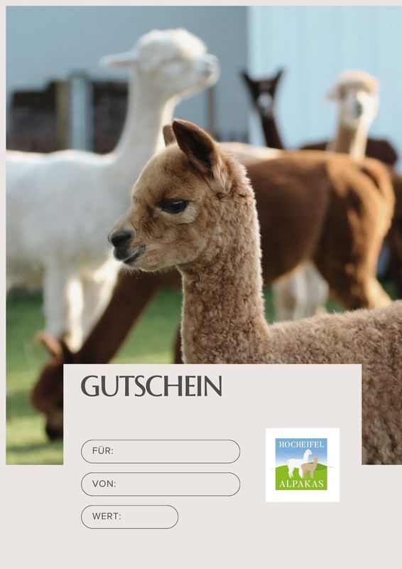 Alpaka Geschenkgutschein