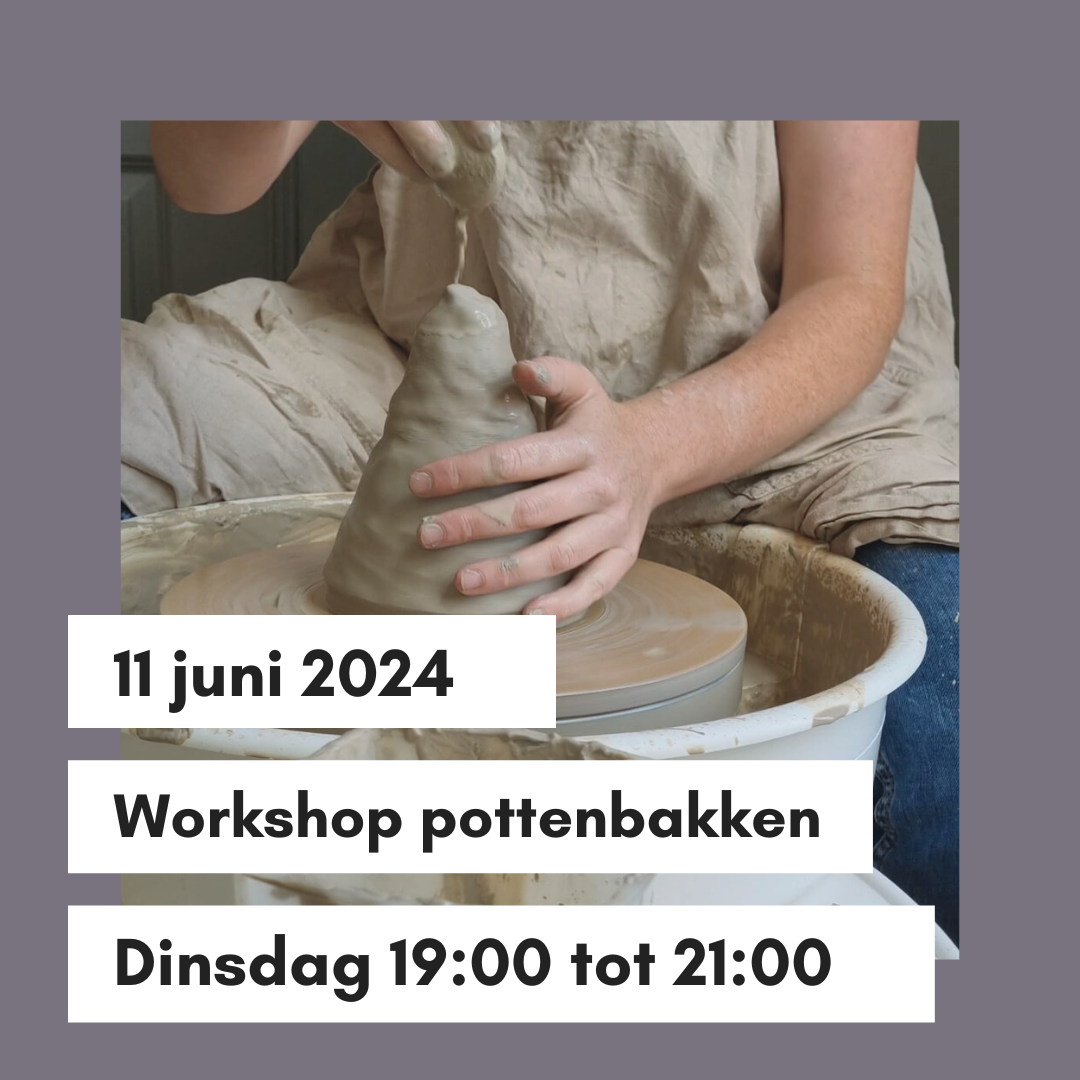 Workshop dinsdag 11 juni 19:00-21:00 uur