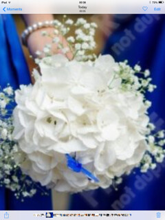 Hydrangea Bridal Bouquet White