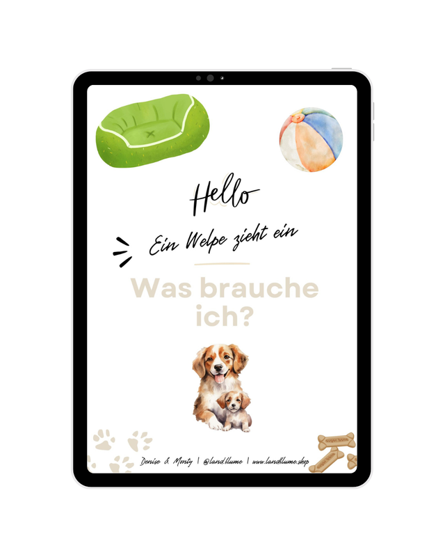 Check-Liste: Ein Welpe zieht ein - Was brauche ich?