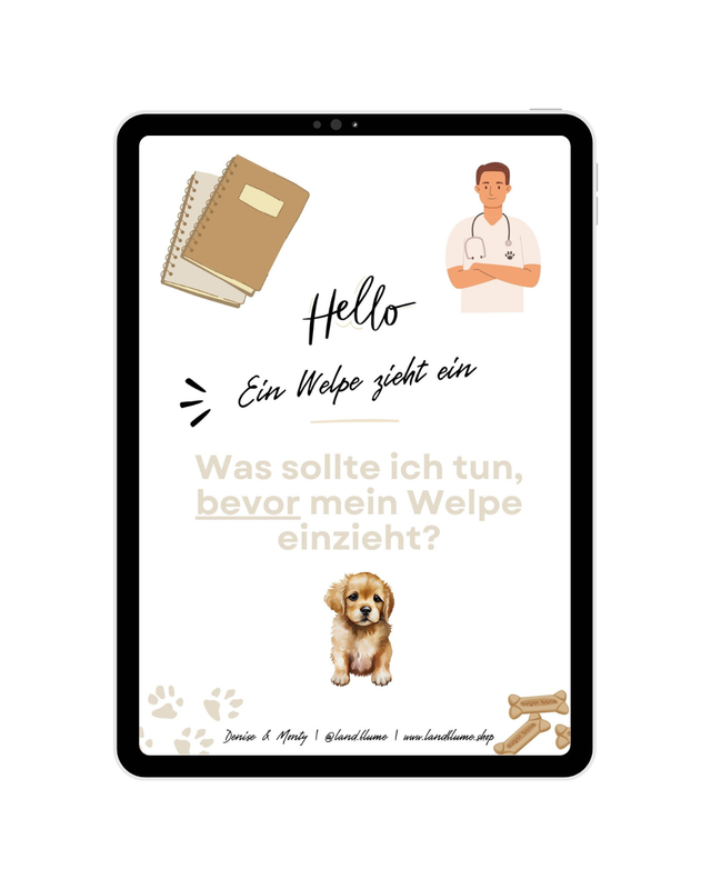 Check-Liste: Ein Welpe zieht ein - Was sollte ich tun bevor er einzieht?