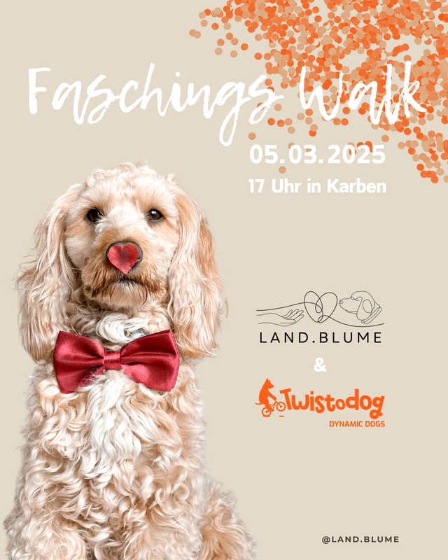 Helau und Alaf! Social Walk zu Fasching 🎉