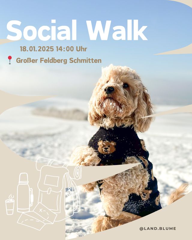 Glühwein-Wanderung auf dem Feldberg 🐾❄️
