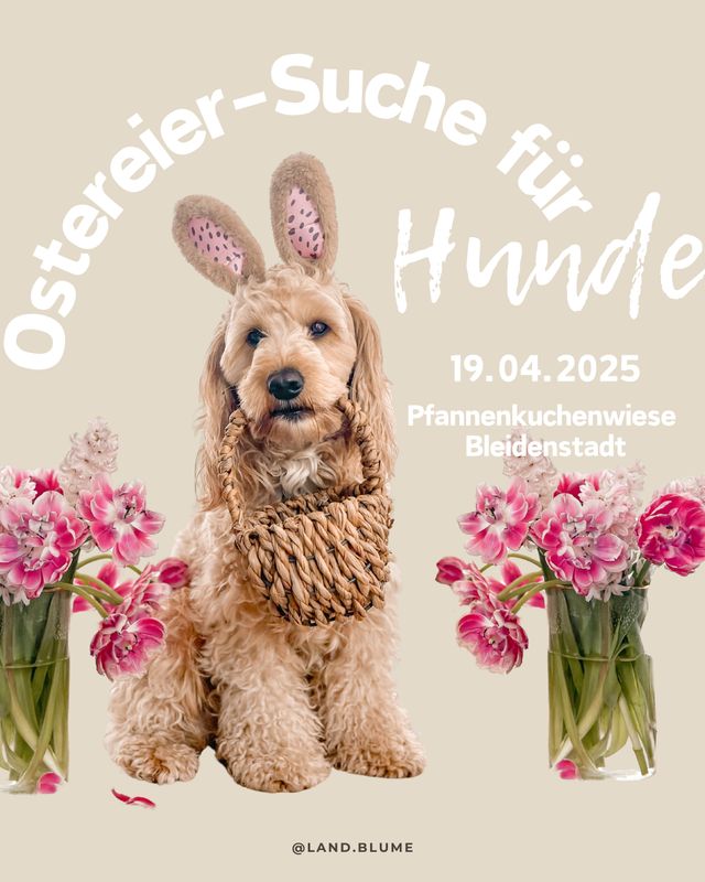 Ostereiersuche mit Hund 🥚🪻