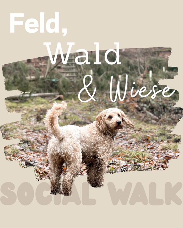 🐾 Social Walk – Feld, Wald & Wiese