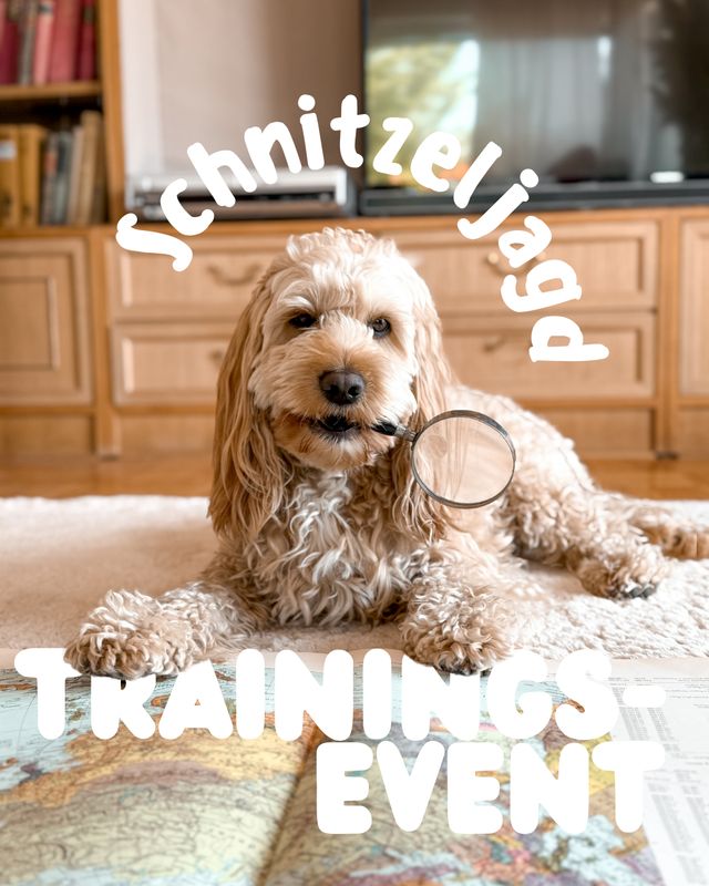 Trainingsevent - Schnitzeljagd 🗺️
