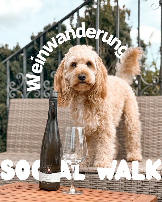 Social Walk - Weinwanderung mit Hund 🍷