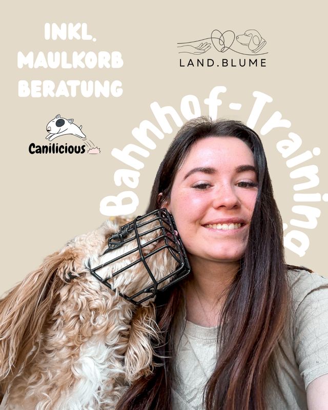 Bahnhoftraining mit Maulkorbberatung 🐾