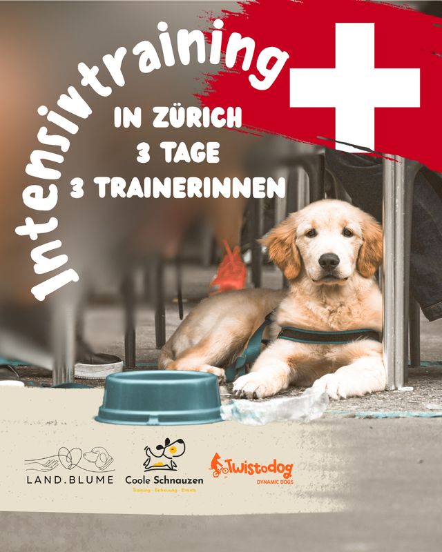 Intensivtraining - Wochenende in der züricher Region