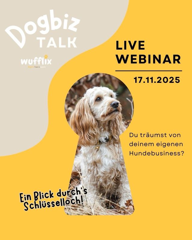 Dogbiz Talk - Ein Blick durch's Schlüsselloch!