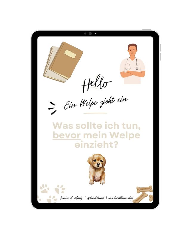 Check-Liste: Ein Welpe zieht ein - Was sollte ich tun bevor er einzieht?