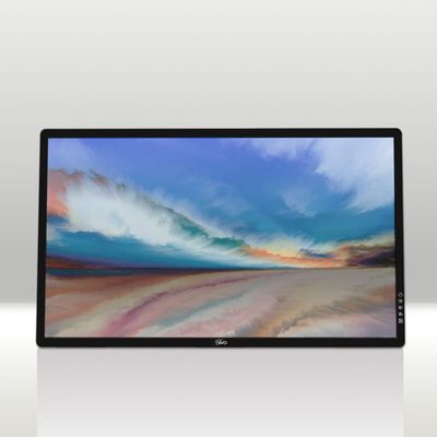 DEPOSIT for The rE 2.0 Dawn - 32" Color RLCD Computer Monitor with Frontlight