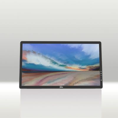 DEPOSIT for The rE 2.0 Eve - 24" Color RLCD Computer Monitor with Frontlight