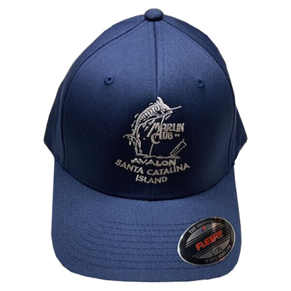 FLEX FIT HAT 