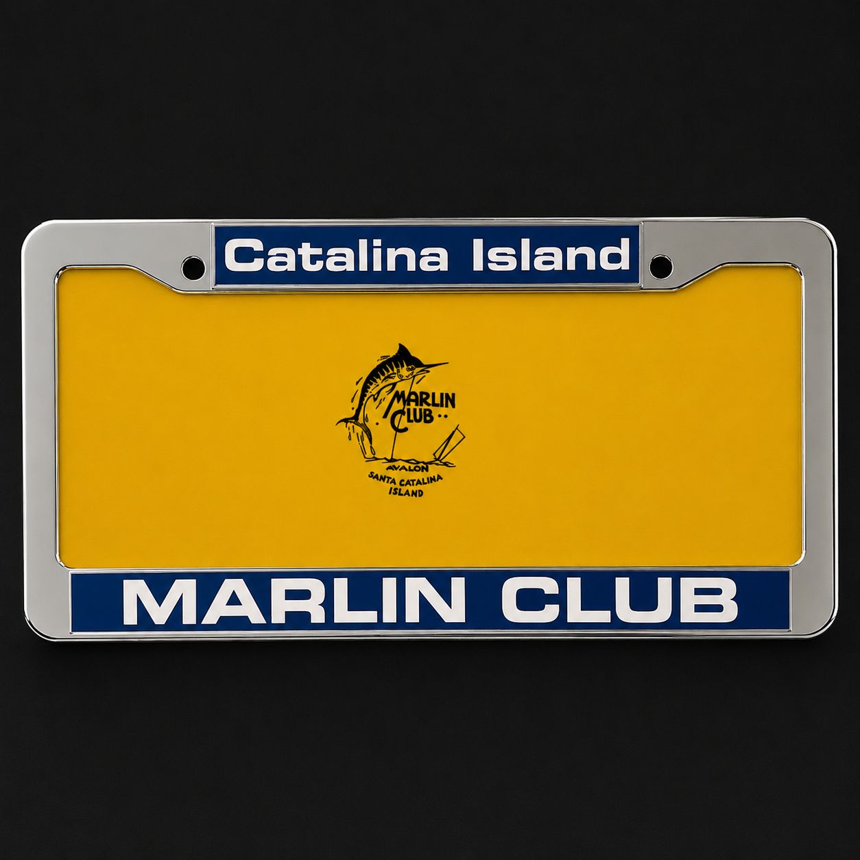 License Plate Frame