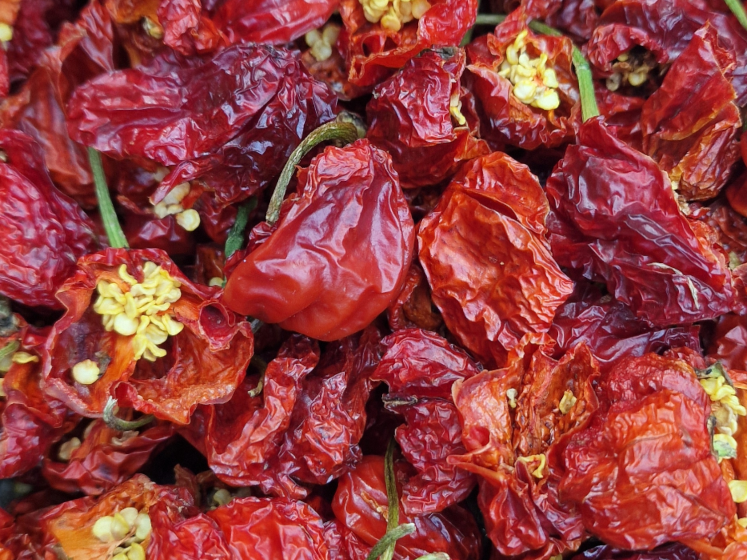 Piri-Piri Habanero Seco (desidratado)