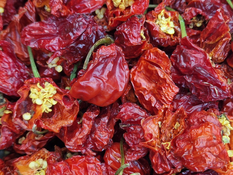 Piri-Piri Habanero Seco (desidratado)