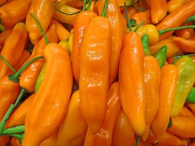 Aji Amarillo 100gr