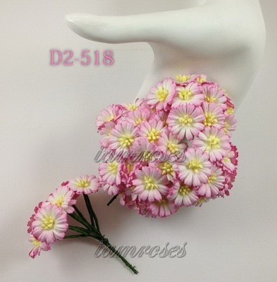 Daisies
View All (4)