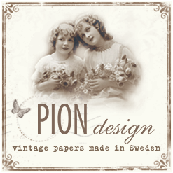 PION DESIGN