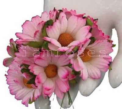 Chrysanthemums - Click to Select