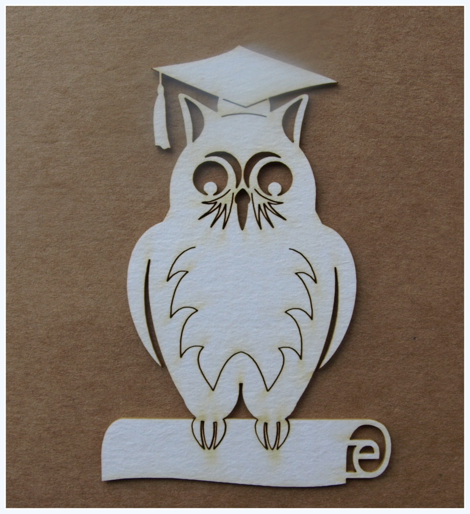 Owl with Diploma Chipboard