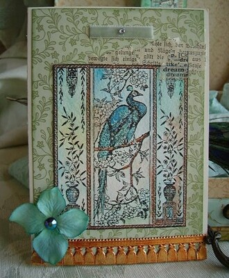 Elegant Peacock