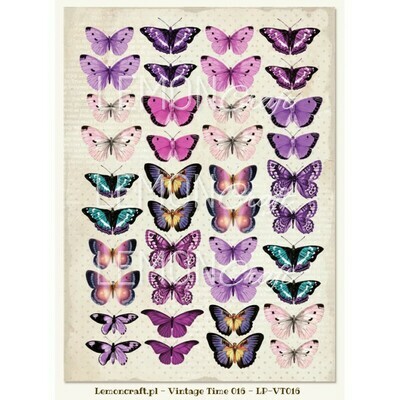 BUTTERFLIES
View All (7)