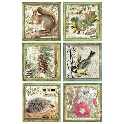 NATURE &amp; ANIMALS RICE PAPER
View All (32)