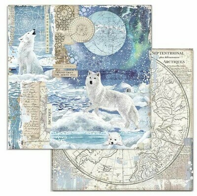 STAMPERIA ARCTIC ANTARCTIC 12x12 Paper Set