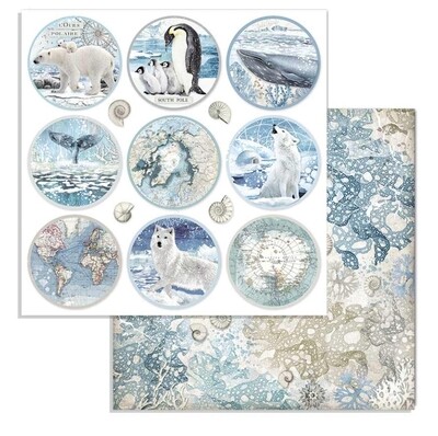 STAMPERIA ARCTIC ANTARCTIC CIRCLES 12x12 Single Sheet