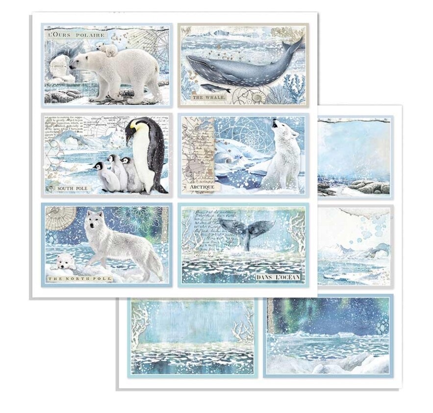 STAMPERIA ARCTIC ANTARCTIC TAGS 12x12 Single Sheet