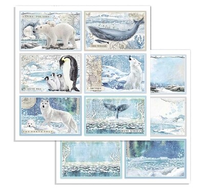 STAMPERIA ARCTIC ANTARCTIC TAGS 12x12 Single Sheet