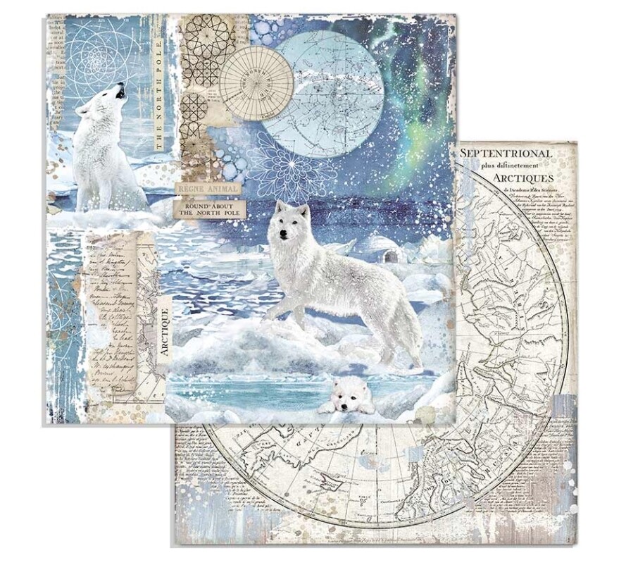 STAMPERIA ARCTIC ANTARCTIC 12X12 Wolf Single Sheet