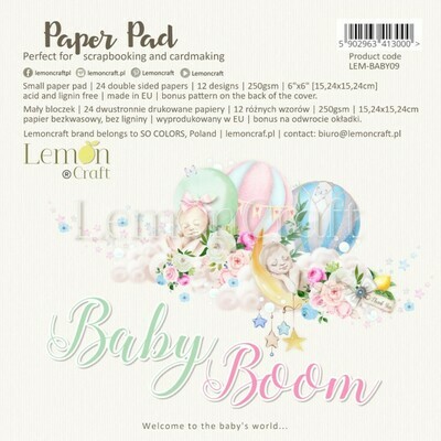 Baby Boom 6X6 Paper Collection