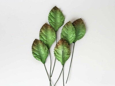 Mulberry Paper Rose Leaves
View All (2)