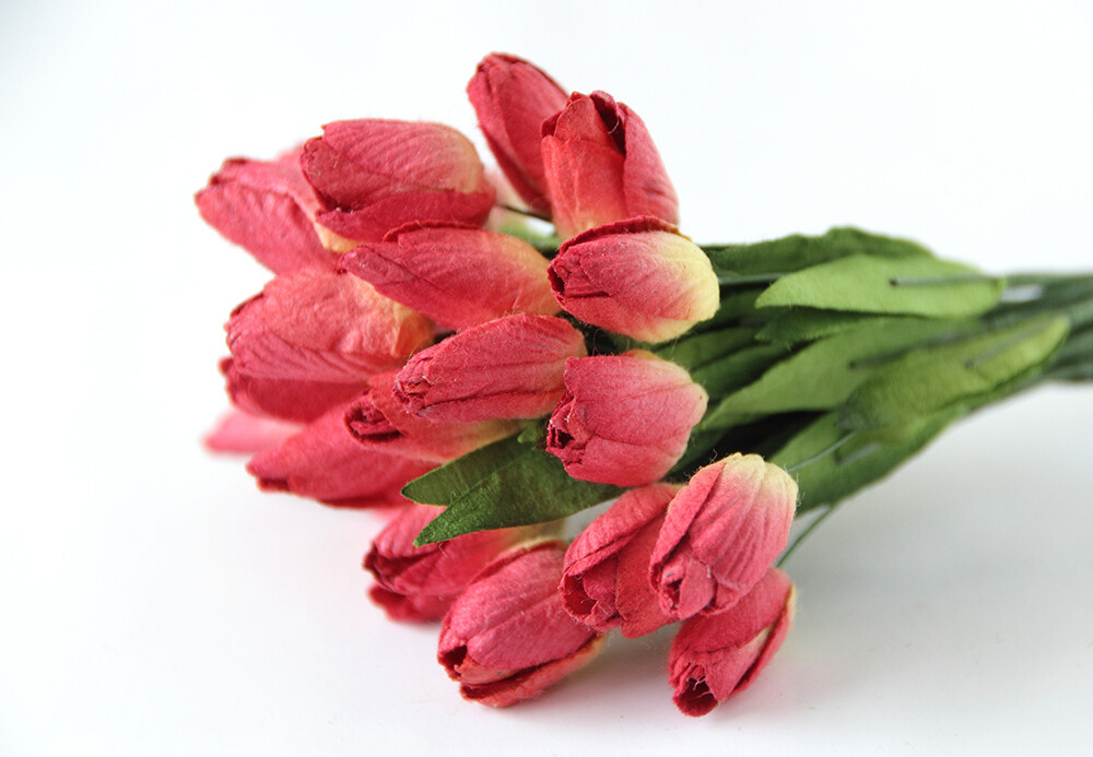 Tulips
View All (4), Choose an Option: Red Yellow Tulips x 10