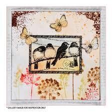 Four Pretty Birds